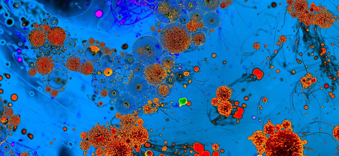 UV products and safety solutions support effective inspection and disinfection